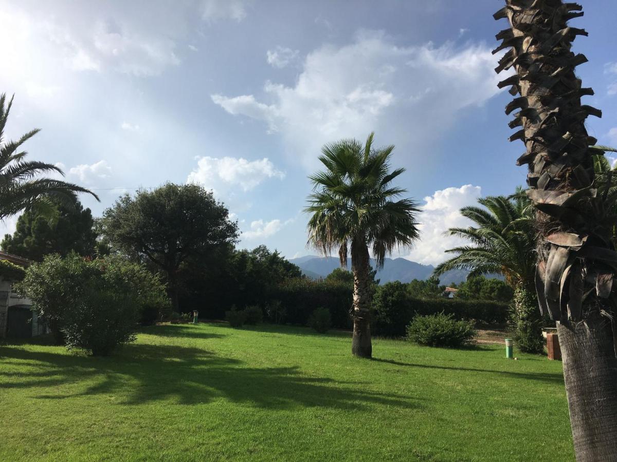Mini Villa - Corse Du Sud Леччи Екстериор снимка